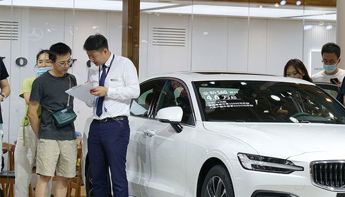 八成公司銷量下滑 汽車經(jīng)銷商上半年業(yè)績(jī)加速分化