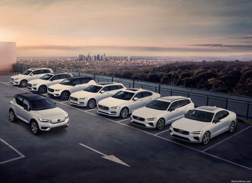 沃爾沃11月銷量增長24.5%，庫存深度不足一個月再創新紀錄